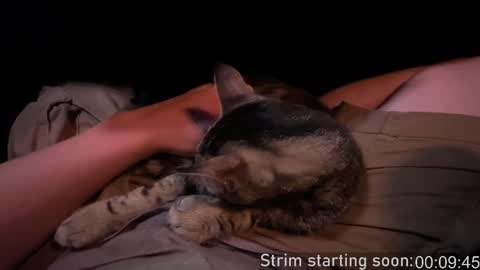 Booker Baxton online show from September 28, 2025, 3:01 am