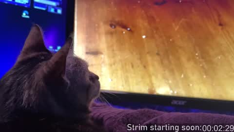 Booker Baxton online show from November 16, 2025, 4:07 am