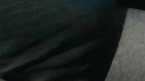 bossram160 online show from November 4, 2025, 9:14 pm