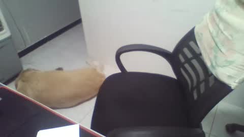 boy_fitbrutal online show from December 2, 2025, 1:55 am