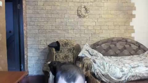 BoyApollon online show from December 24, 2024, 12:11 pm