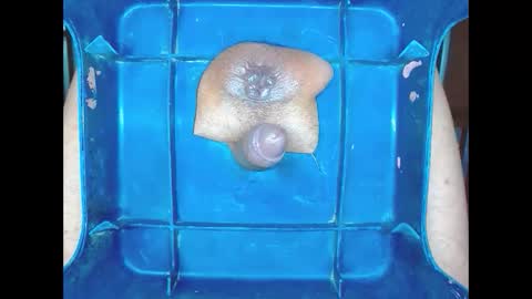 boyfantasies_11 online show from January 11, 2026, 12:04 am