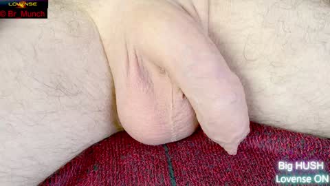 Baron online show from January 29, 2025, 6:12 am