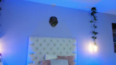   online show from February 12, 2025, 12:33 pm