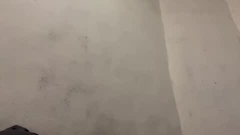 Snapshot of breanexe chatting on October 29, 2025, 11:01 am breanexe online show from October 29, 2025, 11:01 am