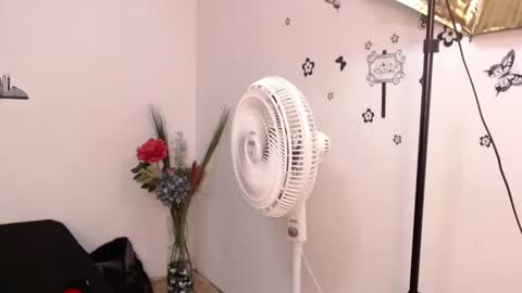 Brenda  online show from January 29, 2025, 3:15 pm