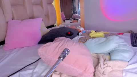 Snapshot of brenda_ruiz_ chatting on February 23, 2025, 2:35 pm Branda online show from February 23, 2025, 2:35 pm