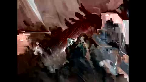 Snapshot of bricchicago chatting on February 22, 2025, 3:45 am bricchicago online show from February 22, 2025, 3:45 am