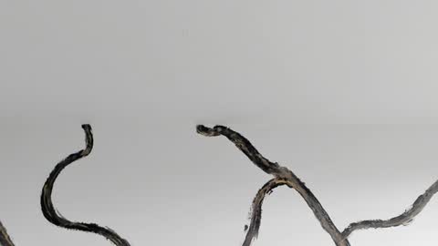    online show from January 4, 2025, 2:46 pm