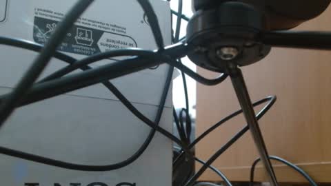 Snapshot of brigittebia777 chatting on October 10, 2025, 3:38 am brigittebia777 online show from October 10, 2025, 3:38 am