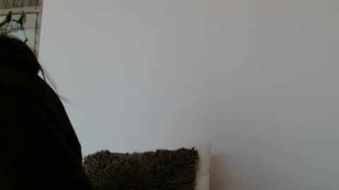 Snapshot of brigittebia777 chatting on October 24, 2025, 10:11 am brigittebia777 online show from October 24, 2025, 10:11 am