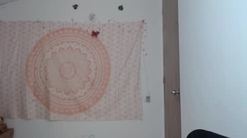 Snapshot of brisama chatting on March 11, 2025, 11:59 pm brisama online show from March 11, 2025, 11:59 pm