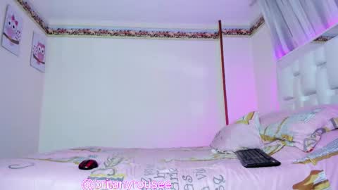 Snapshot of britanyrousee chatting on February 19, 2026, 9:11 pm Emily online show from February 19, 2026, 9:11 pm