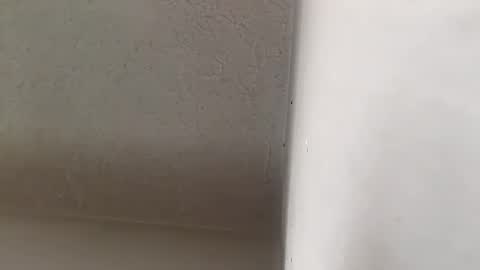 Brittany  online show from September 20, 2025, 3:35 pm