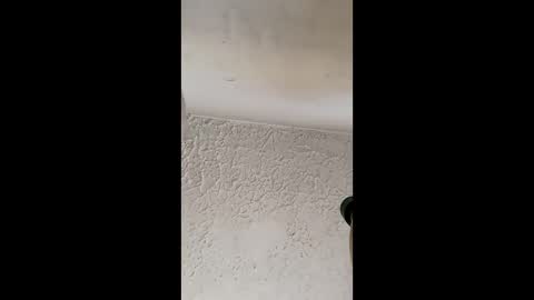 Brittany  online show from March 31, 2026, 12:38 pm