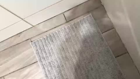 Snapshot of brownboyli chatting on March 2, 2026, 3:09 am brownboyli online show from March 2, 2026, 3:09 am