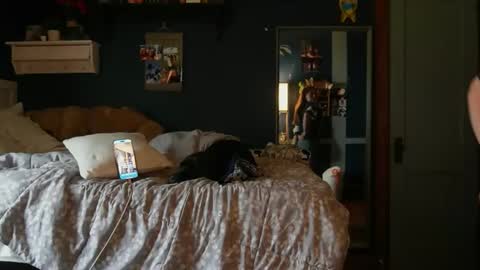 brunettebaby040 online show from October 24, 2025, 4:47 pm