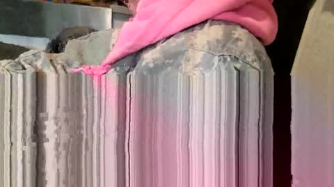 Snapshot of brushsquach chatting on March 11, 2026, 8:59 pm Steve... aka SkinnieDippin aka TimberTramp online show from March 11, 2026, 8:59 pm