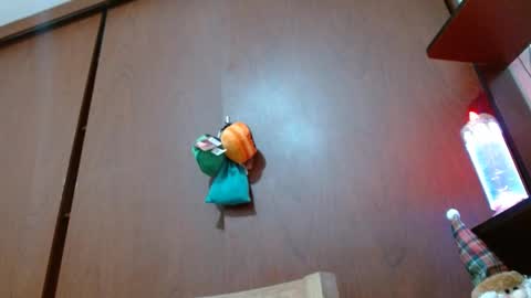 Enjoy the best muscle straws   online show from February 11, 2025, 4:24 pm