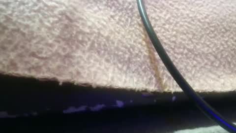 bubumaci53 online show from November 30, 2025, 10:47 pm