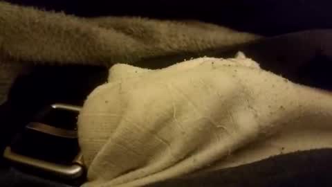 Snapshot of bulkyboners chatting on February 7, 2026, 7:01 am ejaculation for 250 online show from February 7, 2026, 7:01 am