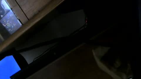 bumheadrules online show from November 25, 2025, 1:49 am