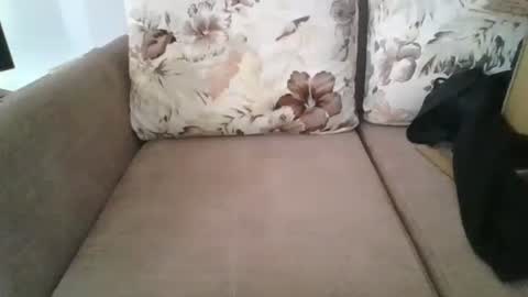 Snapshot of burak20x chatting on October 30, 2025, 7:10 am burak20x online show from October 30, 2025, 7:10 am