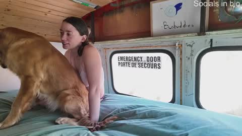 busbuddies online show from December 13, 2024, 4:49 pm