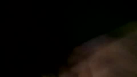 bushmen21 online show from December 5, 2024, 11:40 pm