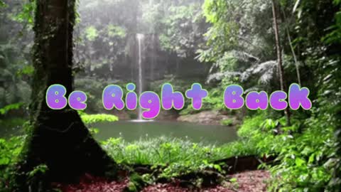 Butterfly and Bear online show from December 8, 2024, 9:19 pm