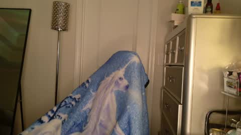 butterfly booty online show from March 31, 2026, 7:42 am