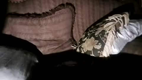 Snapshot of bxpapi69 chatting on November 7, 2025, 6:46 am bxpapi69 online show from November 7, 2025, 6:46 am