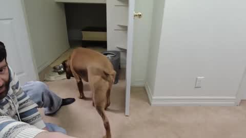 c2cmee online show from December 26, 2024, 9:55 am