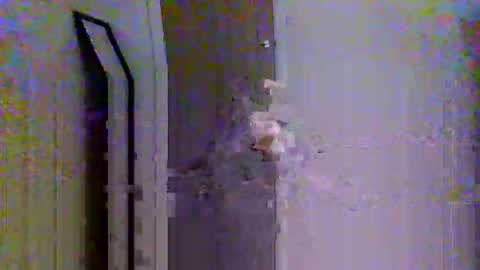 c95uk online show from October 12, 2025, 1:21 pm