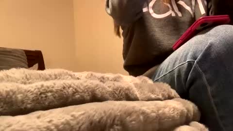 calishop1 online show from December 11, 2024, 1:58 am