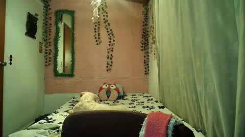 paula online show from February 6, 2026, 11:52 pm