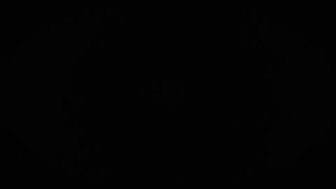 Charly online show from April 2, 2026, 10:57 am