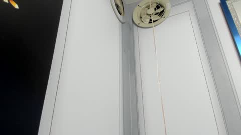 Camila  online show from December 24, 2024, 10:11 am