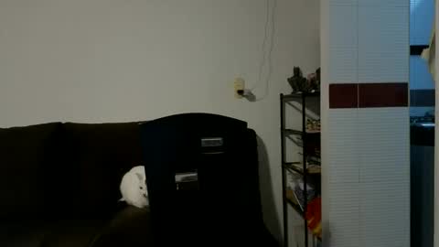 Camilo online show from October 15, 2025, 9:26 pm