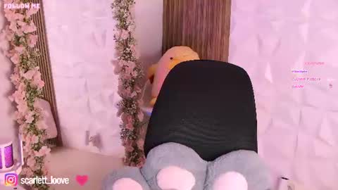 Snapshot of candy_latinaa chatting on July 10, 2026, 2:38 am online show from July 10, 2026, 2:38 am