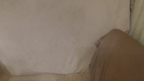 say meow and send tip  online show from May 18, 2026, 5:19 pm