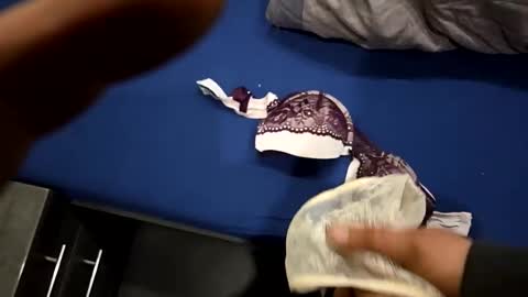 capoo24 online show from October 28, 2025, 10:08 am