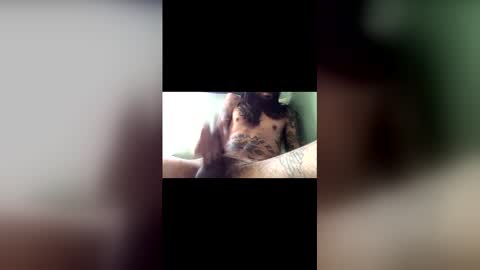 Snapshot of capt_thatcher chatting on May 30, 2026, 4:48 pm capt_thatcher online show from May 30, 2026, 4:48 pm
