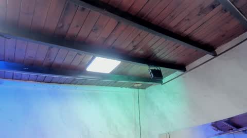 Snapshot of caroline_palmerr chatting on February 1, 2026, 3:27 am Carolina online show from February 1, 2026, 3:27 am