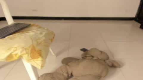 Snapshot of carolinnagomez chatting on March 11, 2026, 12:22 pm Caro online show from March 11, 2026, 12:22 pm