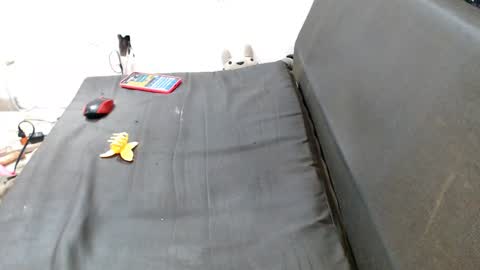 carol my sign is capricorn online show from December 7, 2024, 12:41 am