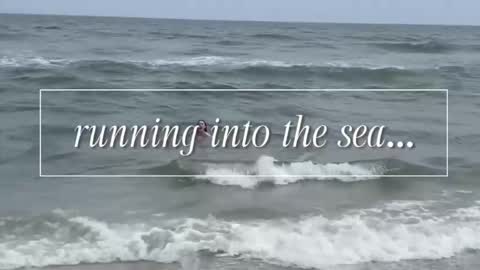 carrie madsin online show from December 2, 2025, 11:00 pm