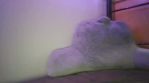 Casey Joe online show from February 5, 2026, 3:00 am