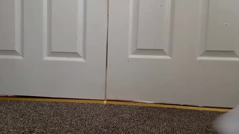 cash13bychanel online show from December 11, 2024, 8:28 pm