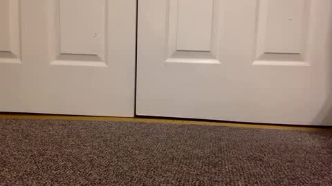 cash13bychanel online show from January 23, 2025, 5:56 am